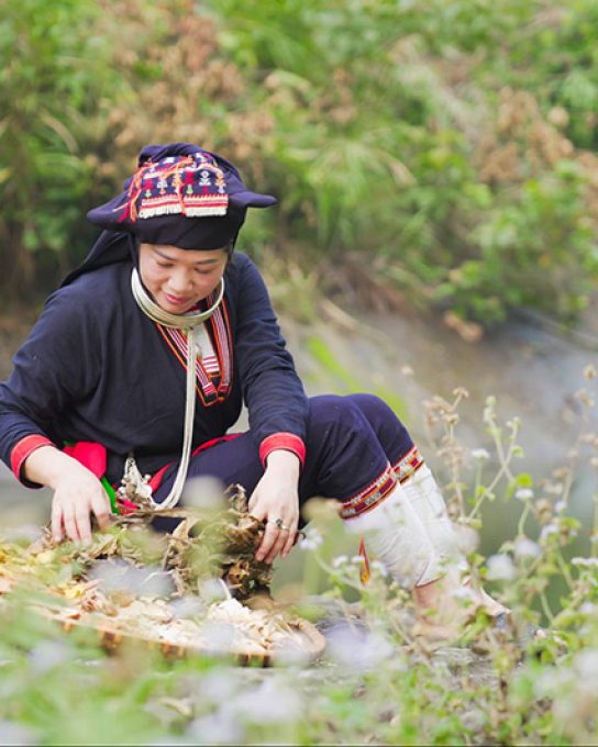 nguoi-dao